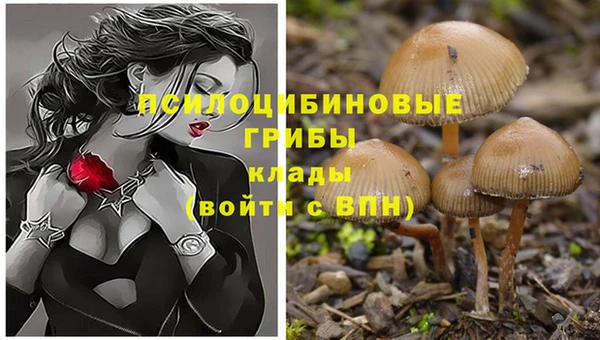кокаин колумбия Арсеньев