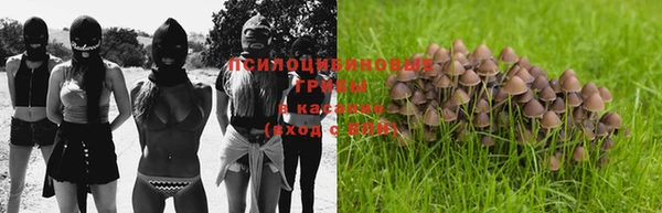дмт Аркадак
