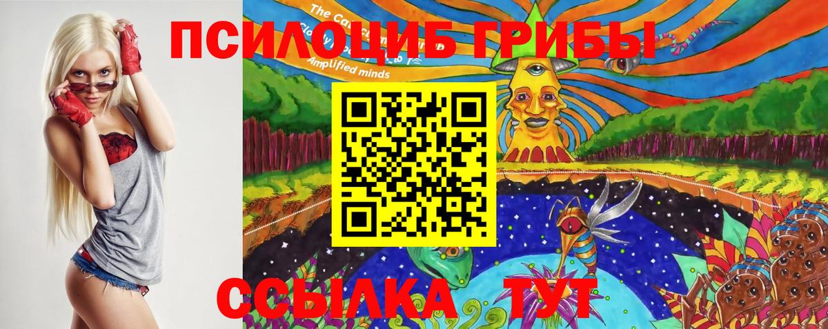 Одинцово  Галлюциногенные грибы GOLDEN TEACHER  Вход с VPN 